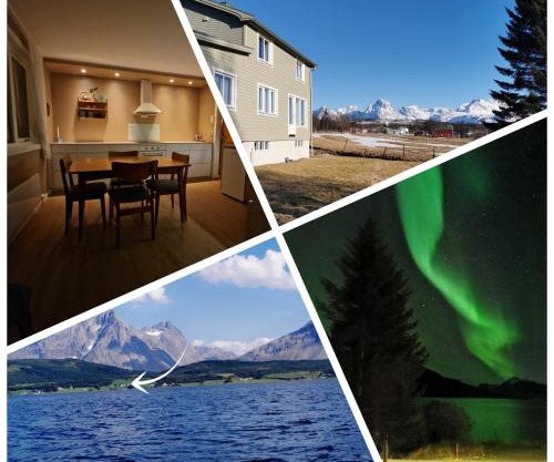 Arctic Cabin Lyngen