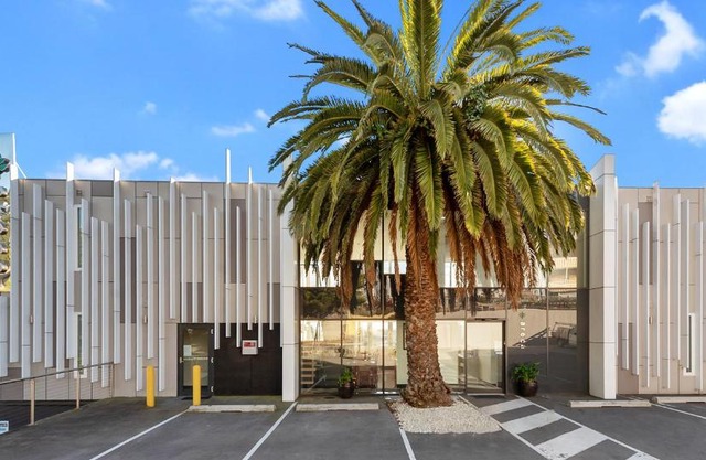 Areca Launceston