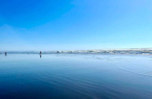 Arena del Mar