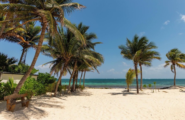 Arenika Beach House Puerto Morelos