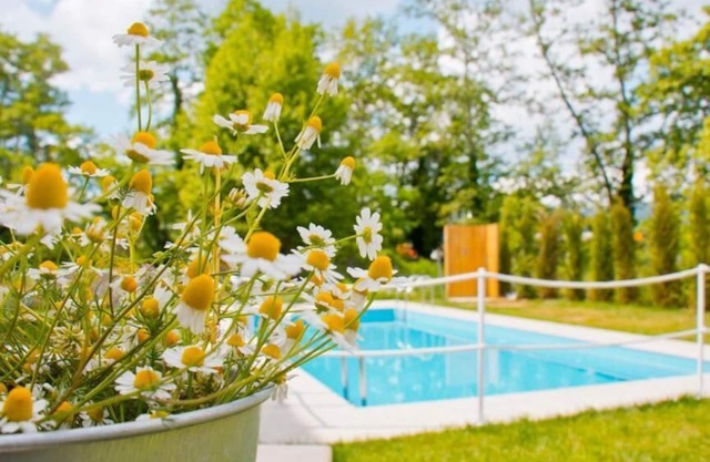 Aristotelia Gi Ikies - Cozy Poolside Suite