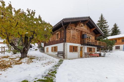 Armailli - modern ground floor Apartment