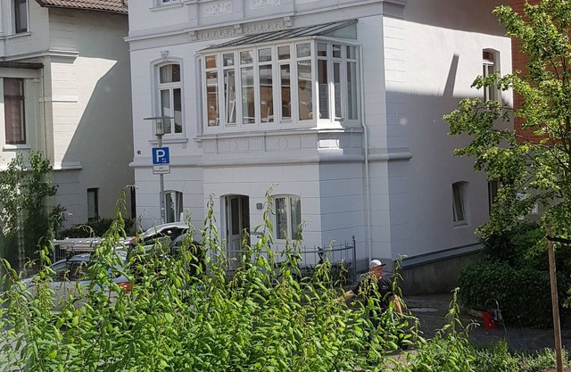 Art over the roofs in the Dobbenviertel