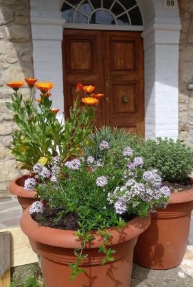 Artemilland B&B