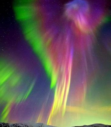 Artic Dream