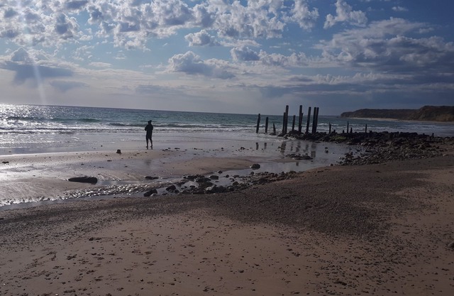 Arts and Eco Retreat in Eco Village, Old Aldinga, walk to Port Willunga Beach.