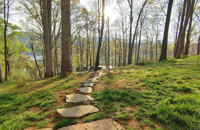 Asheville Mt Home Top-NEW Carbon Water Filter-3 mi to DT-Dogs-Firepit-River View