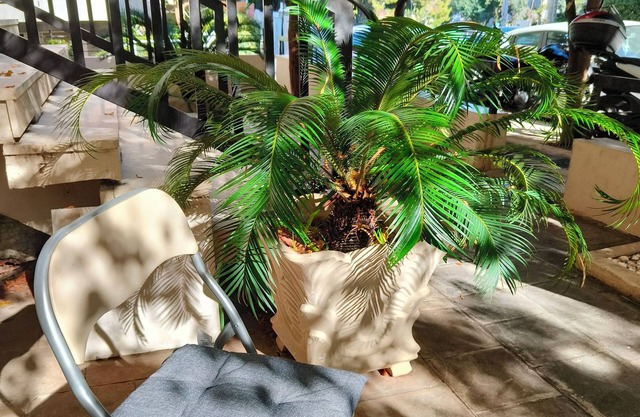 Athens; lovely, private, comfortable, modern apartment, 7min. from center/beach