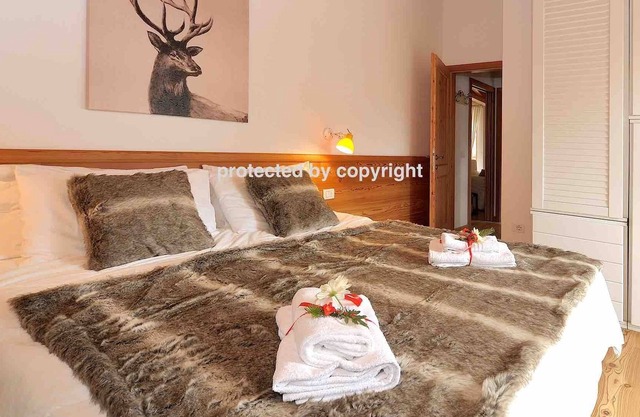 Attic Chalet Campiglio Style 6