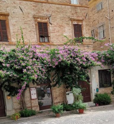 ATTICO SULLA BOUGANVILLE (Albergo diffuso)