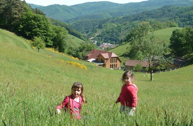 Au Centre de L'alsace et Déjà Dans les Vosges B