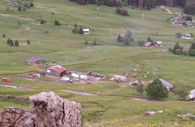Auberge du Lys Blanc