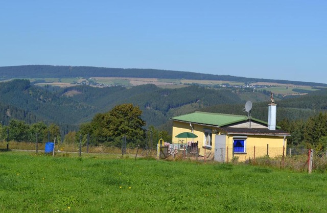 Auf der Weide