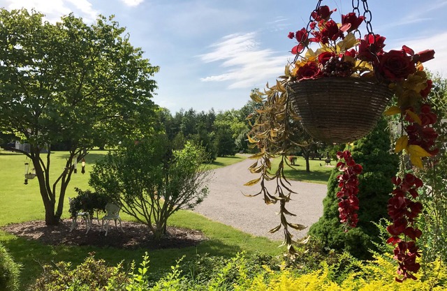 Aunt Connie's Cottage