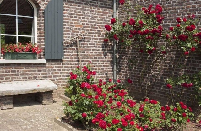 Authentic Holiday Home in Baarlo with Private Terrace