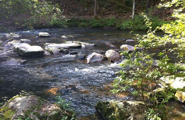 Authentic Log Cabin - Family, Fishing, Fun - Private Waterfront