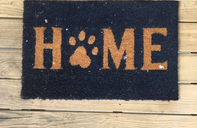 Available ThanksgivingnPet friendly and clean condo