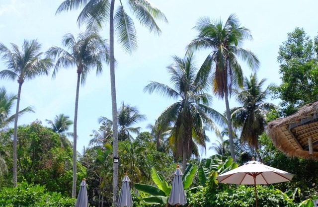 Awana Villa Resort Yaonoi