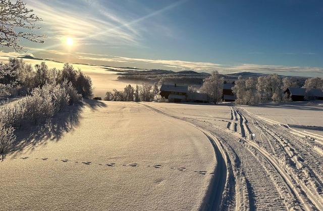 Awesome apartment in Rauland