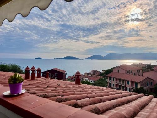 Azzurra, Tellaro
