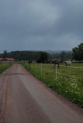 Bäckagården - self catering - självhushåll
