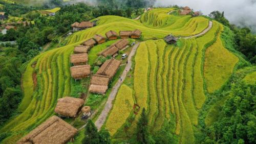 Bình Minh Homestay