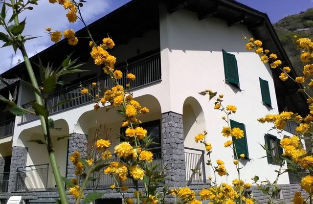 B&B Carunei