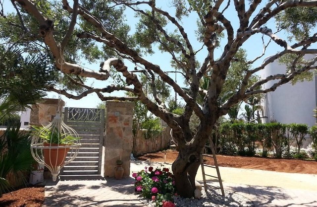 B&B Corallo