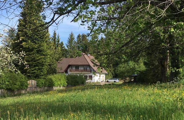B & B Der Waldvogel