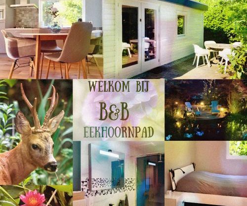 B&B Eekhoornpad