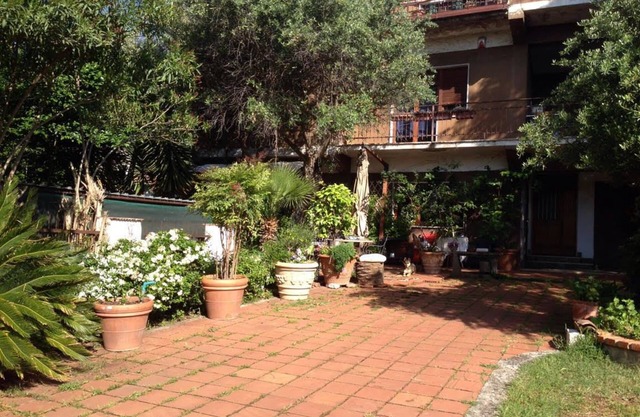 B&B Falcone