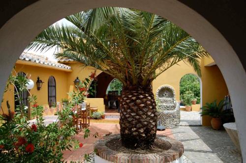 B&B Finca la Loma