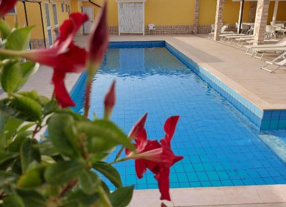 B&B FreeZone