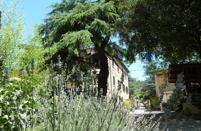 B&B Gabri