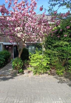 B&B Het Heusje