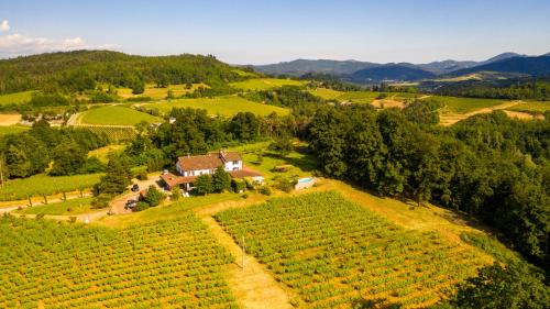 B&B Il Poggio di Gavi