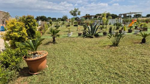 B&B L'Albero d'Oro