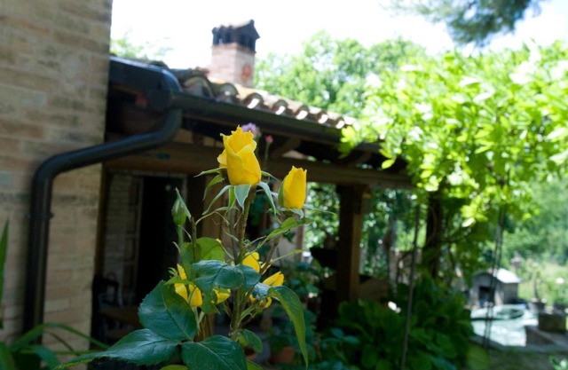 B&B La Cappellania