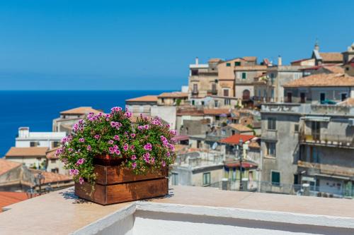B&B La Terrazza