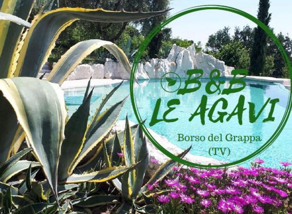 B&B LE AGAVI