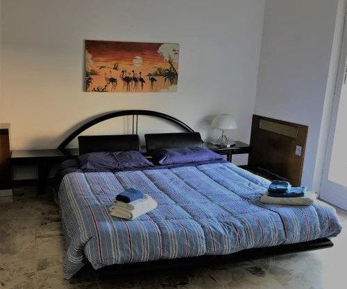 B&B Magenta