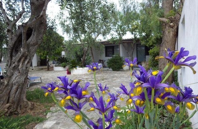 B&B Masseria Liberatore