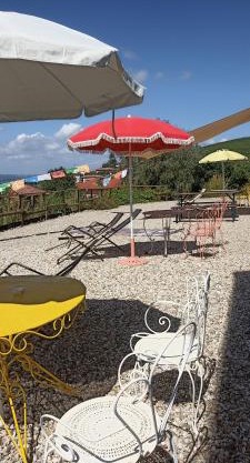 B&B Mermaid n 16/a