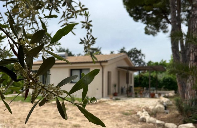 B&B Monstera SicilianExperience, Noto - Location nestled in the hills of Noto