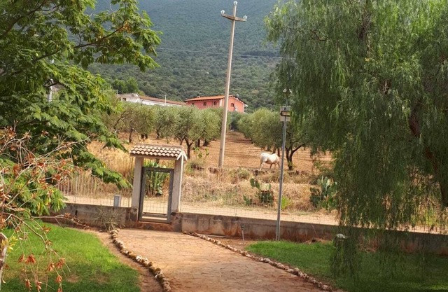 B&B Porta del Gargano