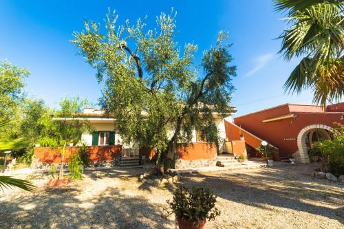 B&B Uliveto del Gargano