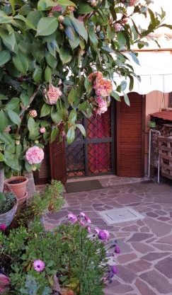 B&B Vista su Roma