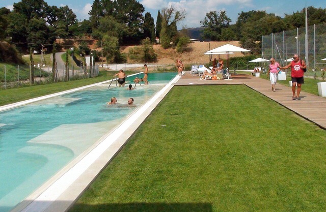Beautiful apartment for 8 guests with WIFI, pool, TV, patio, pets allowed and parking