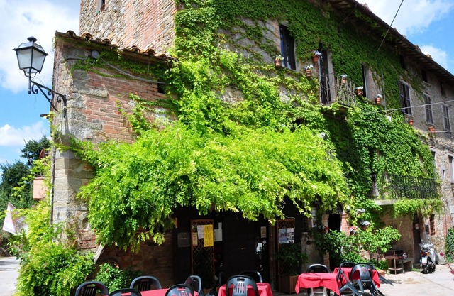 B- Tuscany - Umbria, Antico borgo, one-bedroom apartment in agriturismo at Lake Trasimeno