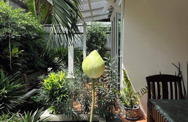 Baan Debtida